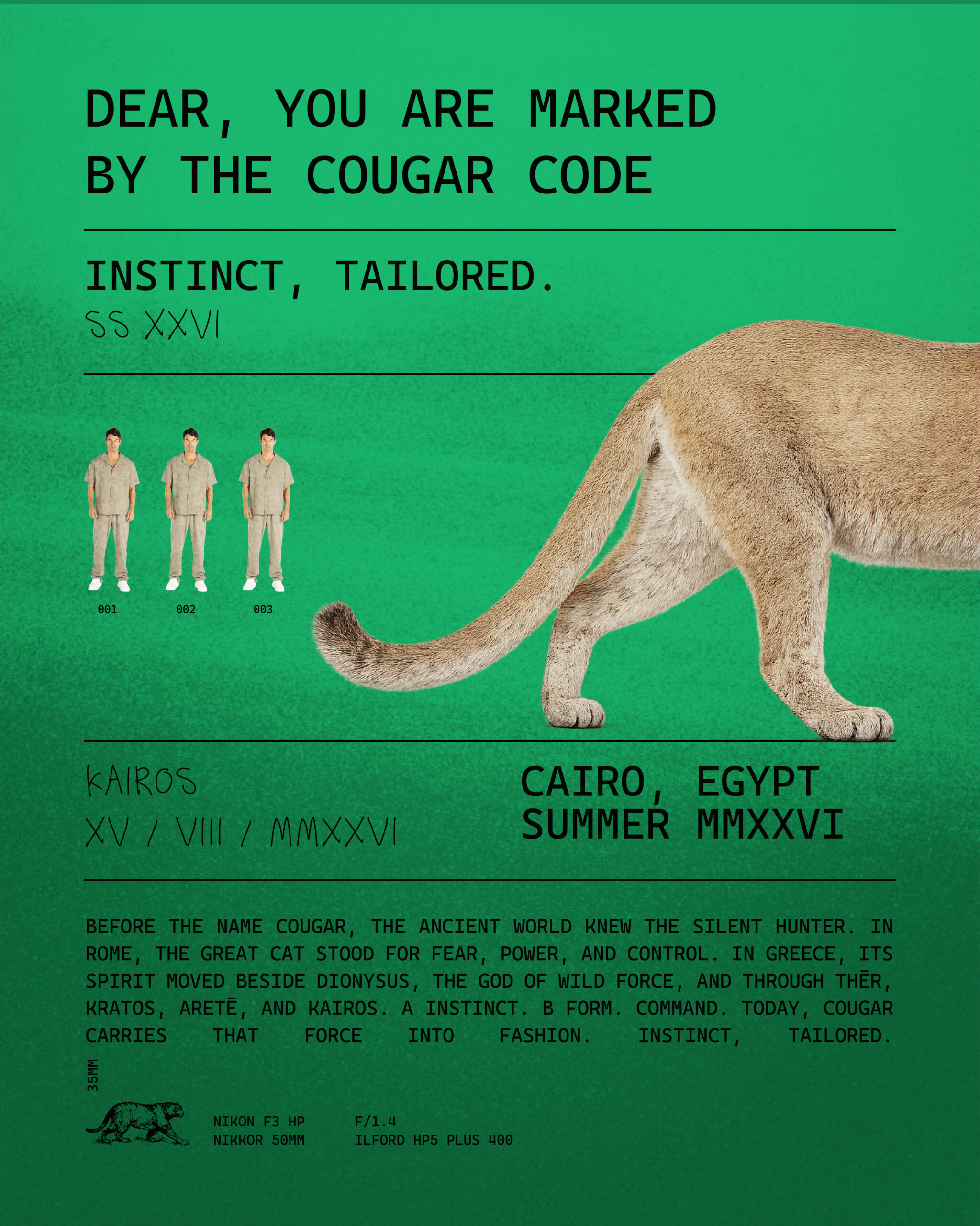 Cougar Grid-09